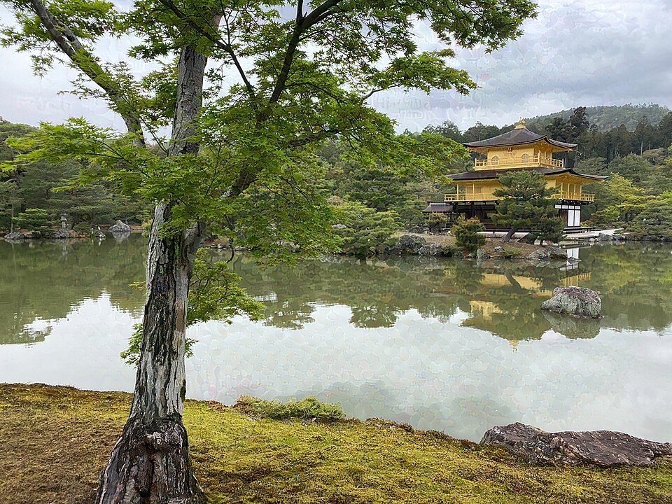新緑に囲まれた京都の金閣寺と池（2024年4月撮影）